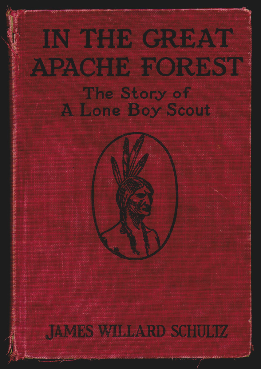 In the Great Apache Forest - Book Cover