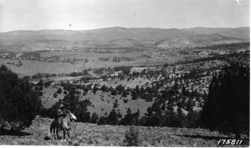 Reserve Valley, Apache National Forest (1923)
