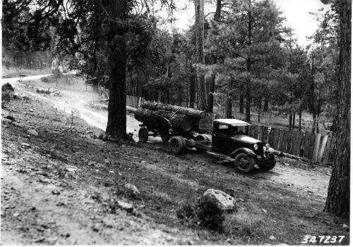 Trucking logs to a small sawmill (1936)