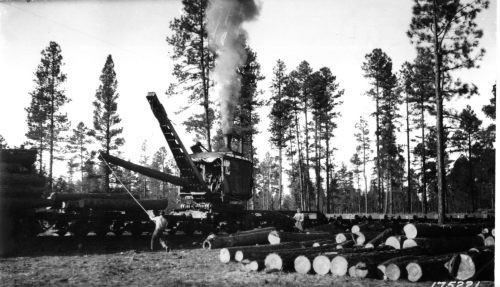 Loading a railroad car with logs (1922)