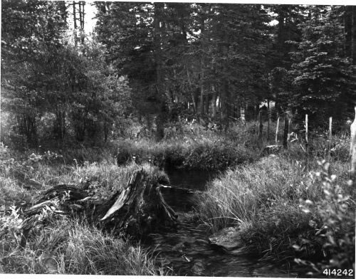 Upper end of Little Colorado River (1941)