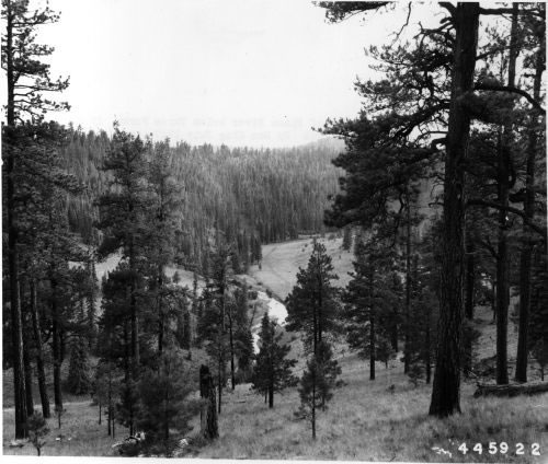 The Horseshoe on East Fork of Black River (1947)